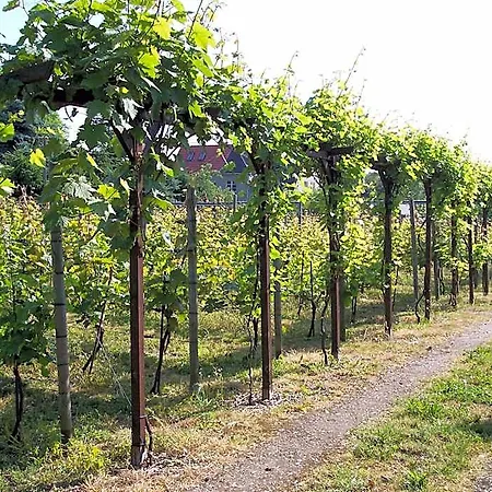 Weisse Elster 3*