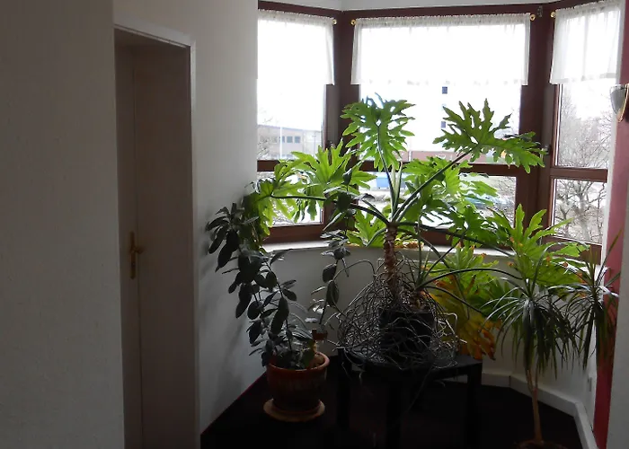 Weisse Elster ホテル