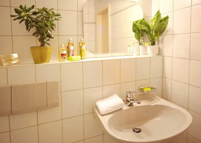 Weisse Elster ツァイツ